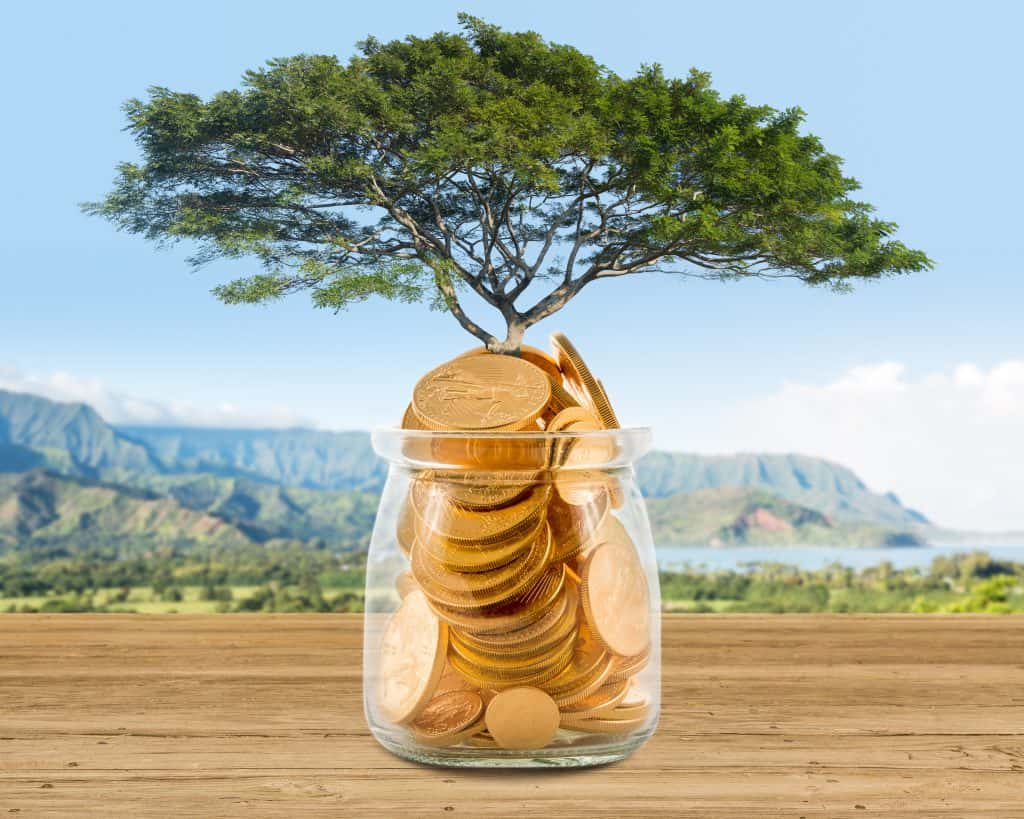 איך להימנע מתשלום מס בגין ריבית